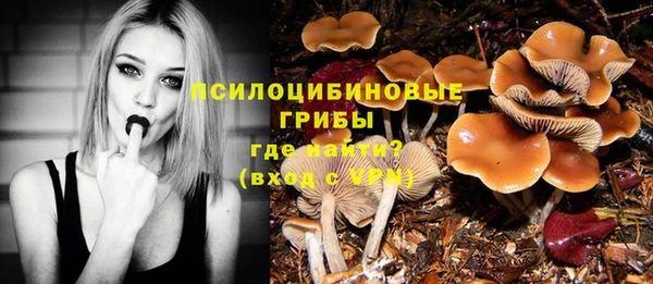 ешки Балабаново
